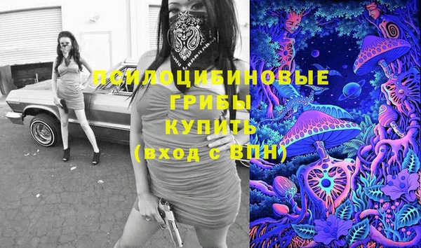 стаф Краснослободск