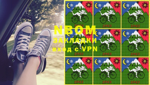 стаф Краснослободск