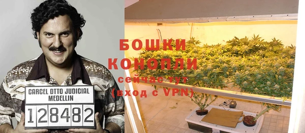 стаф Краснослободск