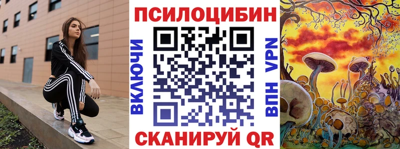 Купить Кяхта Галлюциногенные грибы мицелий